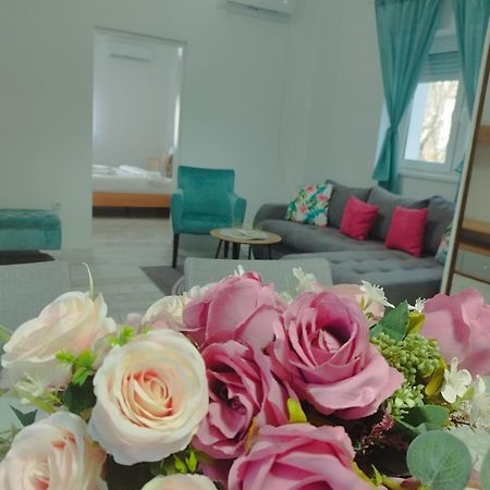 Apartman Radovic スメデレヴォ エクステリア 写真
