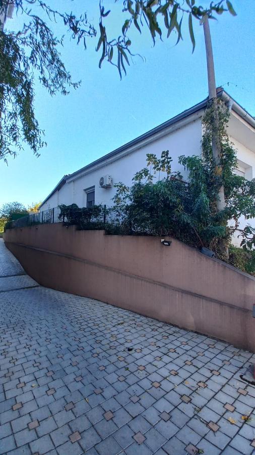 Apartman Radovic スメデレヴォ エクステリア 写真