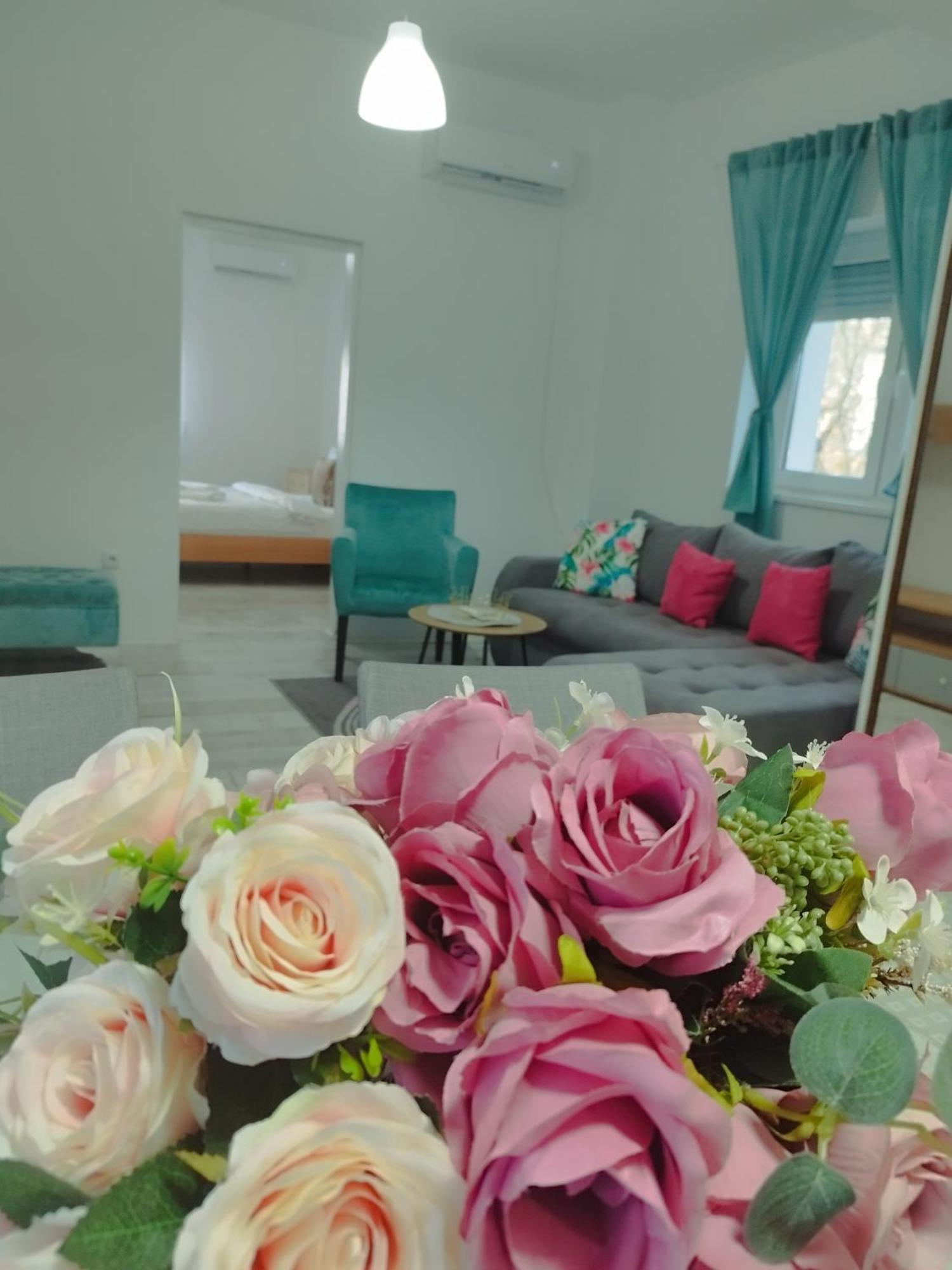 Apartman Radovic スメデレヴォ エクステリア 写真